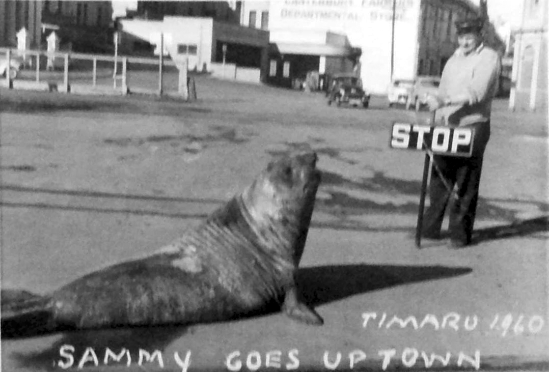 Sammy the Seal 1960